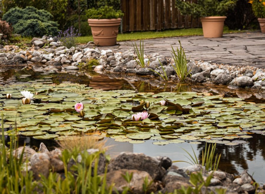 Naturnaher Gartenteich mit Seerosen, Steinufer und Natursteinterrasse