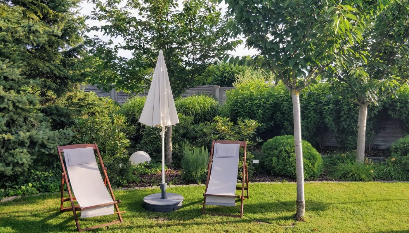 Gepflegter Rasengarten mit Liegestühlen und jungen Bäumen