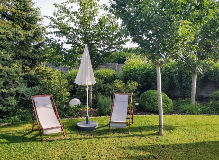 Gepflegter Rasengarten mit Liegestühlen und jungen Bäumen