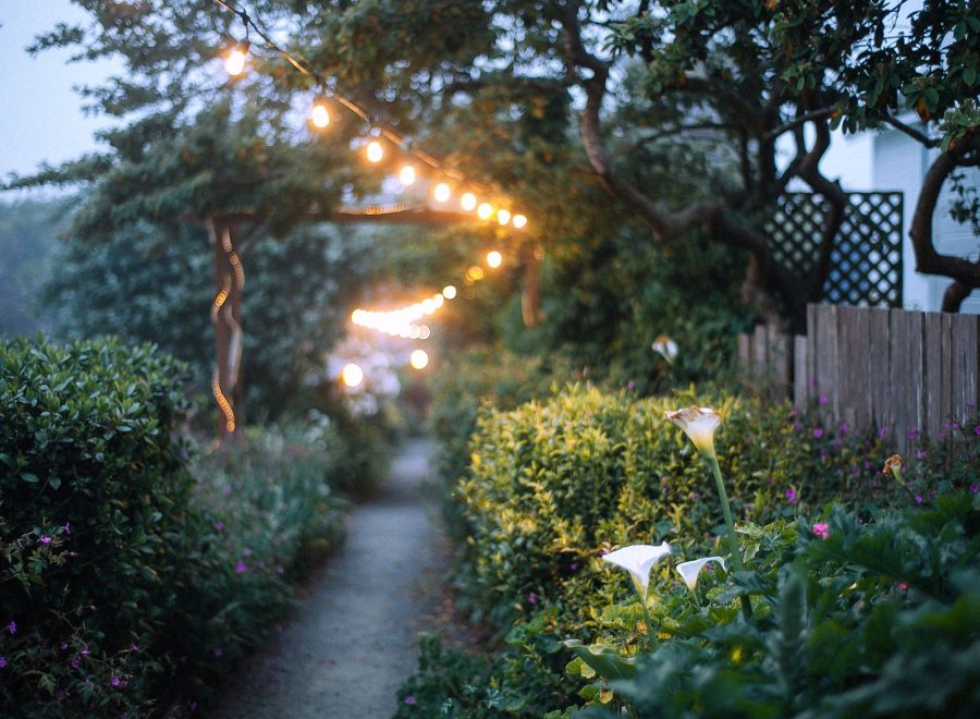 Gartenweg mit warmer Lichterkette in der Dämmerung